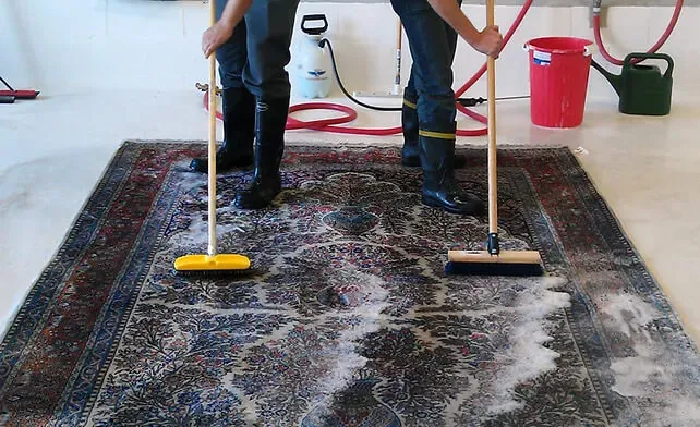 Carpet & Mattress Hygiene Service